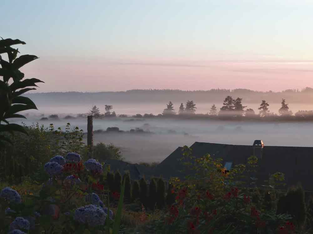 Fog over Island View